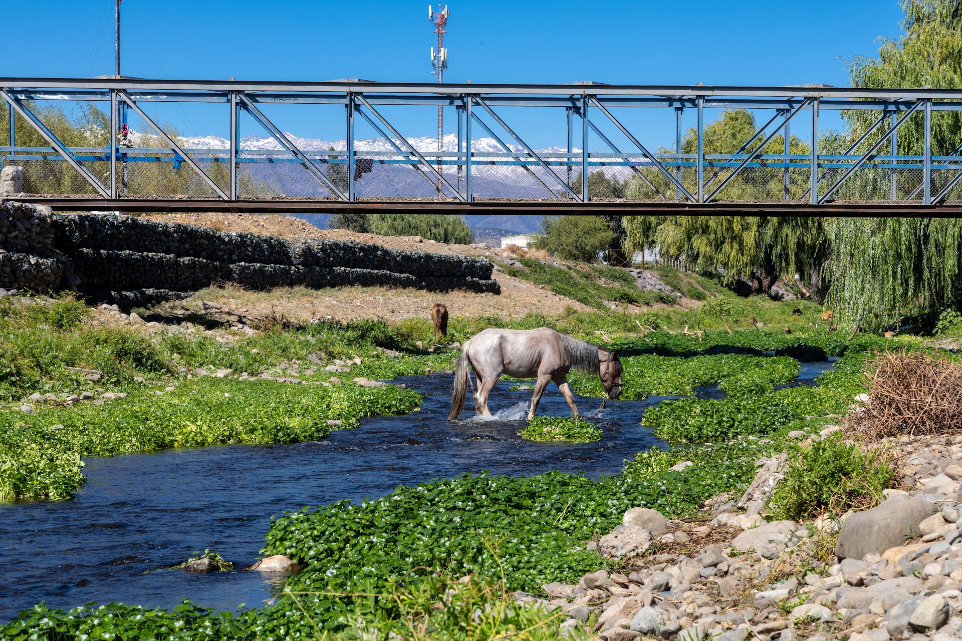 Historia del Estero Troncó