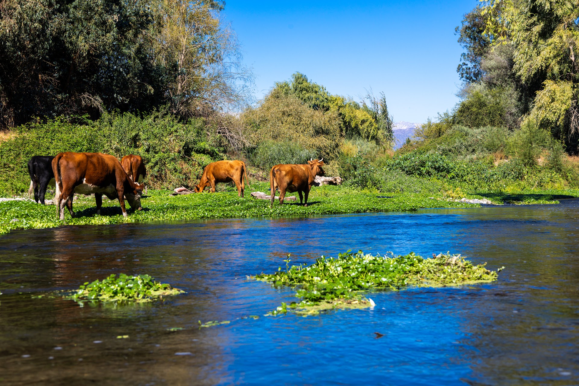 Paisaje histórico