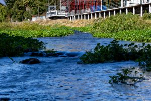 Estero Troncó a la altura del parque La Terraza