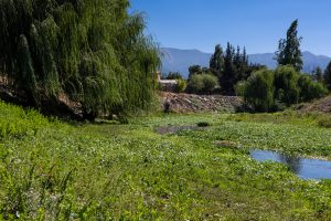Estero Troncó a la altura de la plaza Las Banderas