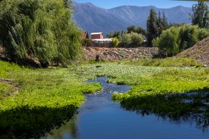 Estero Troncó y de fondo la Cordillera de Los Andes