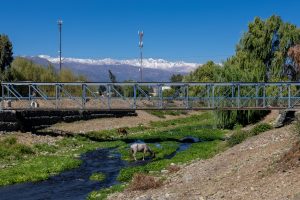 Puente Azul y caballos pastando en el estero Troncó