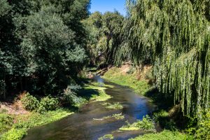 Estero Codegua en sector Chuchunco
